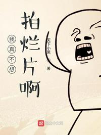 我真不想拍烂片啊 封面