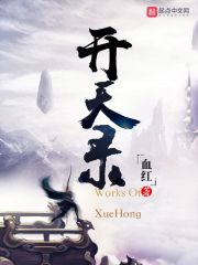 开天录 封面