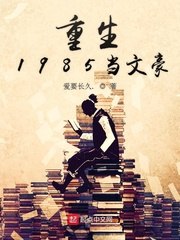 重生1985当文豪 封面