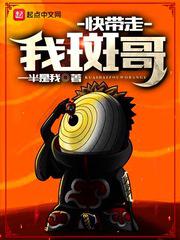 快带走我斑哥 封面