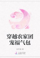 穿越农家团宠福气包 封面