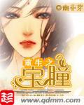 重生之宝瞳 封面