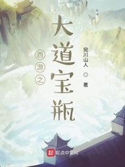 西游之大道宝瓶 封面