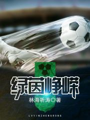 绿茵峥嵘 封面