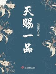 天赐一品 封面