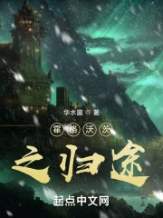 霍格沃茨之归途 封面