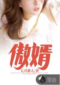 傲婿 封面