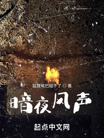 暗夜风声 封面