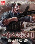 一个人的抗日Ⅱ 封面