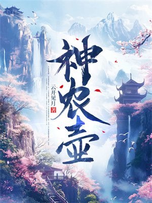 神农壶 封面