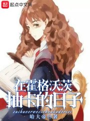 在霍格沃茨抽卡的日子 封面