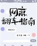 网恋翻车指南 封面
