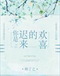 你是迟来的欢喜 封面