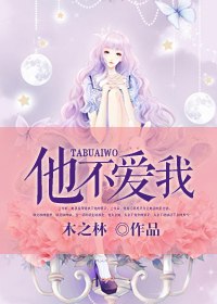 他不爱我 封面