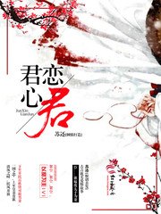 君心恋君 封面