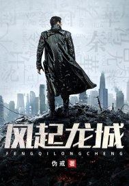 风起龙城 封面