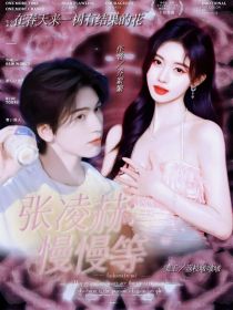 张凌赫：慢慢等 封面