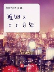 返回2008年 封面