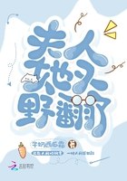 夫人她又野翻了 封面