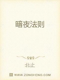 暗夜法则 封面