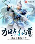 加点仙尊 封面