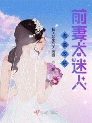 离婚攻略,前妻太迷人 封面