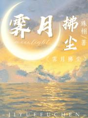 霁月拂尘 封面
