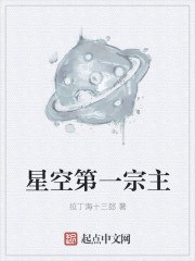 星空第一宗主 封面
