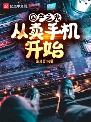 国产之光:从卖手机开始 封面