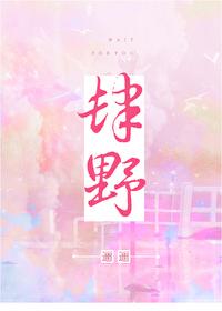 肆野 封面