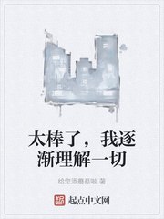 太棒了，我逐渐理解一切 封面
