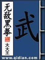 无敌黑拳 封面