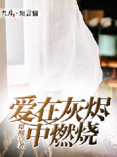 爱在灰烬中燃烧 封面
