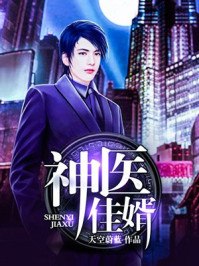 神医佳婿李阳周雪 封面