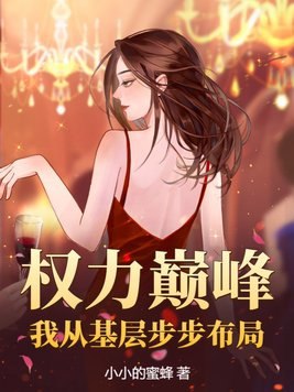 权力巅峰:我从基层步步布局 封面