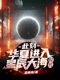 此刻,华夏进入星辰大海时代 封面