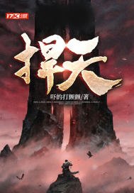 捍天 封面