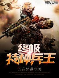 终极特种兵王 封面