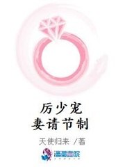 厉少宠妻请节制 封面