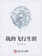 我的飞行生涯 封面
