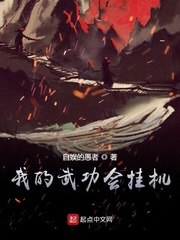 我的武功会挂机 封面