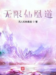 无限仙凰道 封面