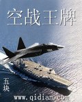 空战王牌 封面