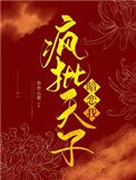 宫锁雀翎 封面