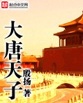 大唐天子 封面