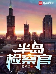 半岛检察官 封面