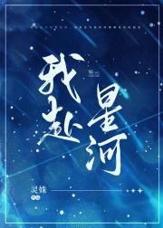 我赴星河 封面