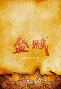 盛赋 封面