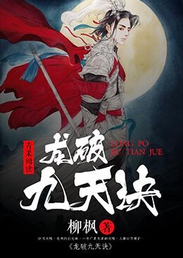 龙破九天诀 封面