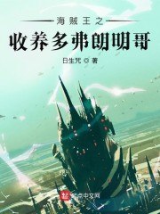 海贼之收养多弗朗明哥 封面